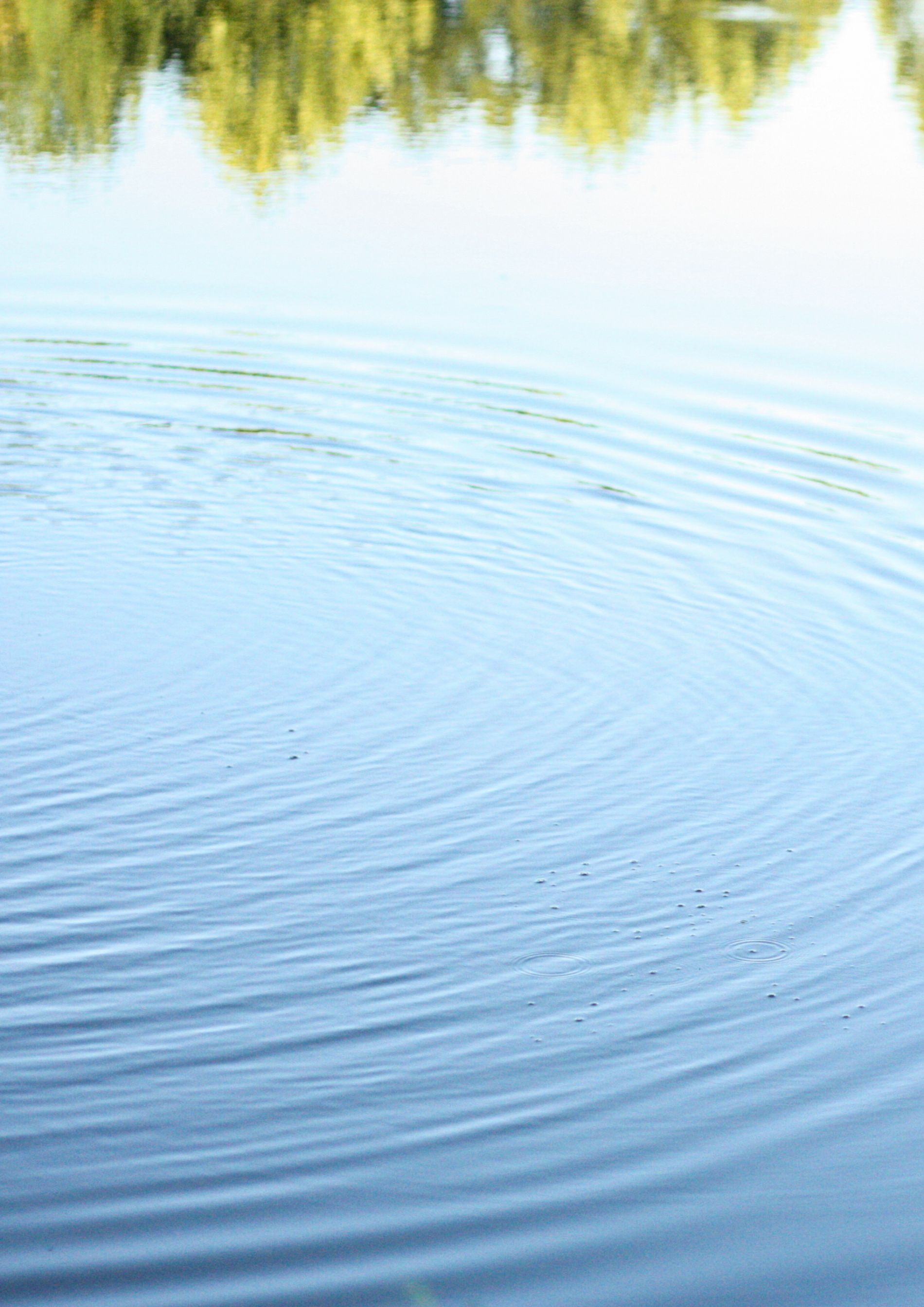 Superficie de agua con ondas concéntricas