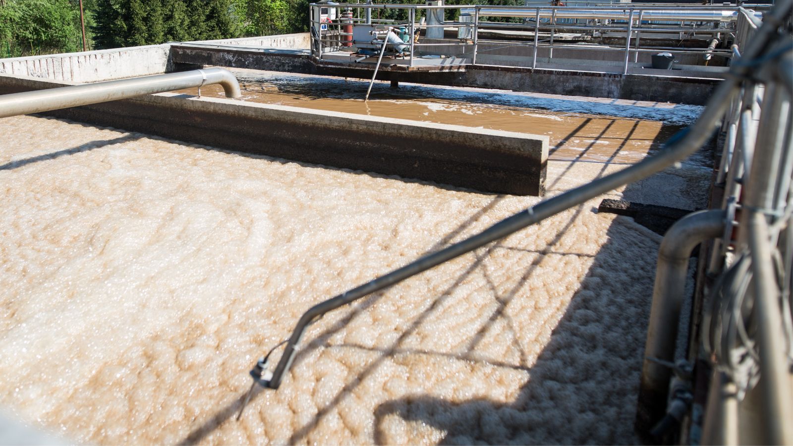 Proceso biológico en reactor de lodos activados